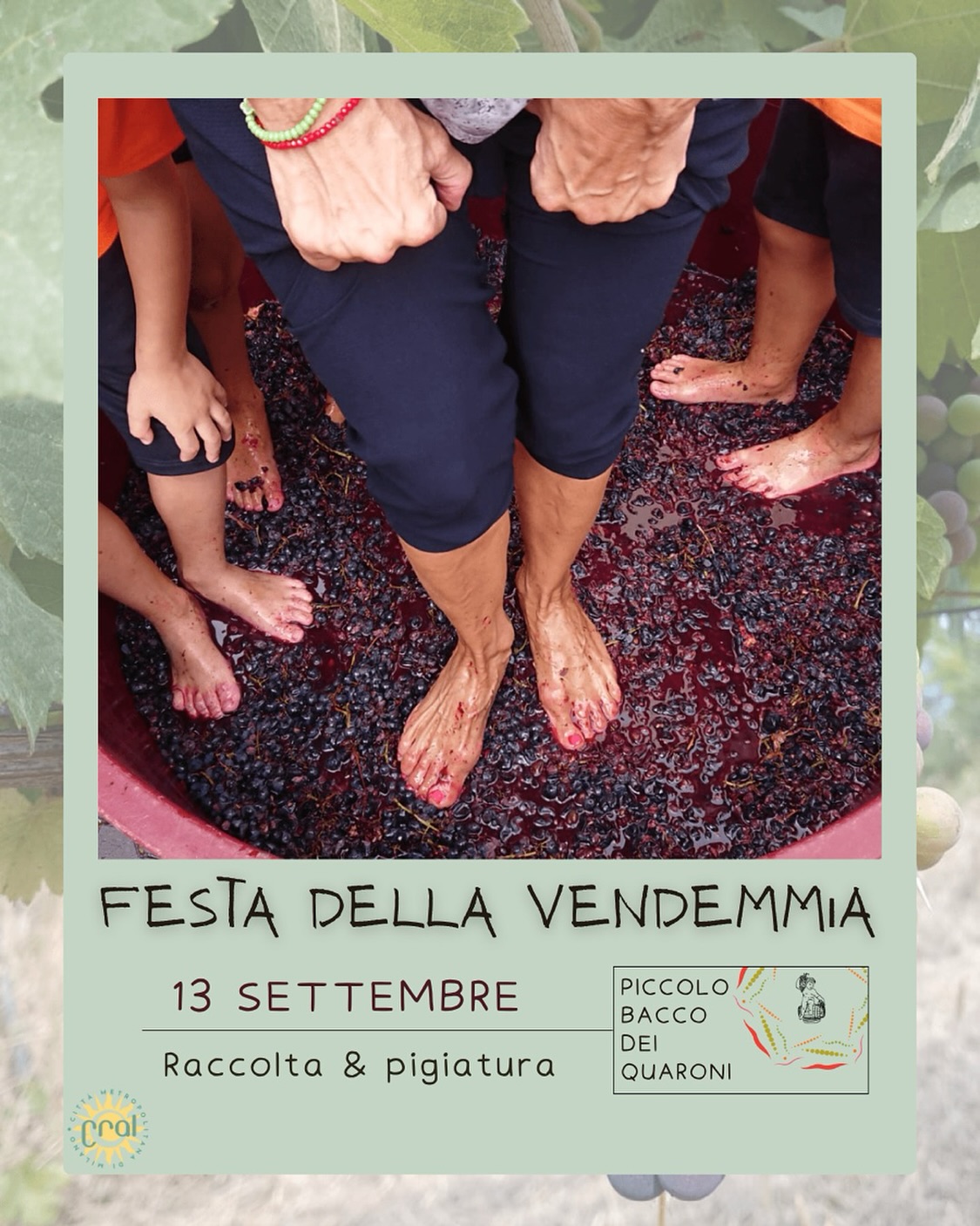 Festa della vendemmia
