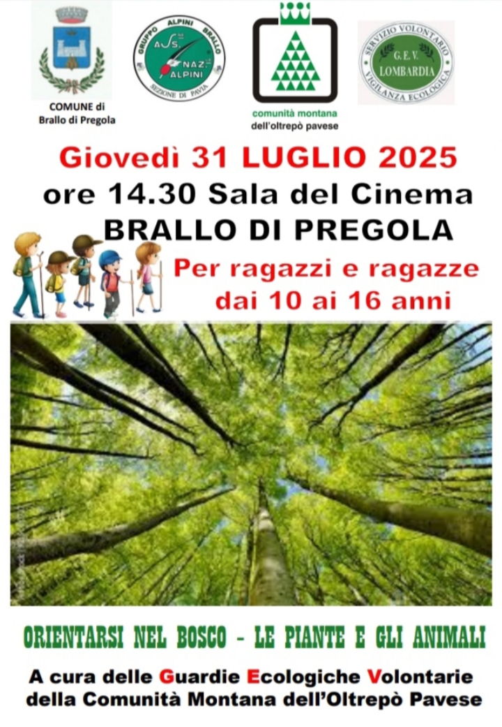 Orientarsi nel Bosco