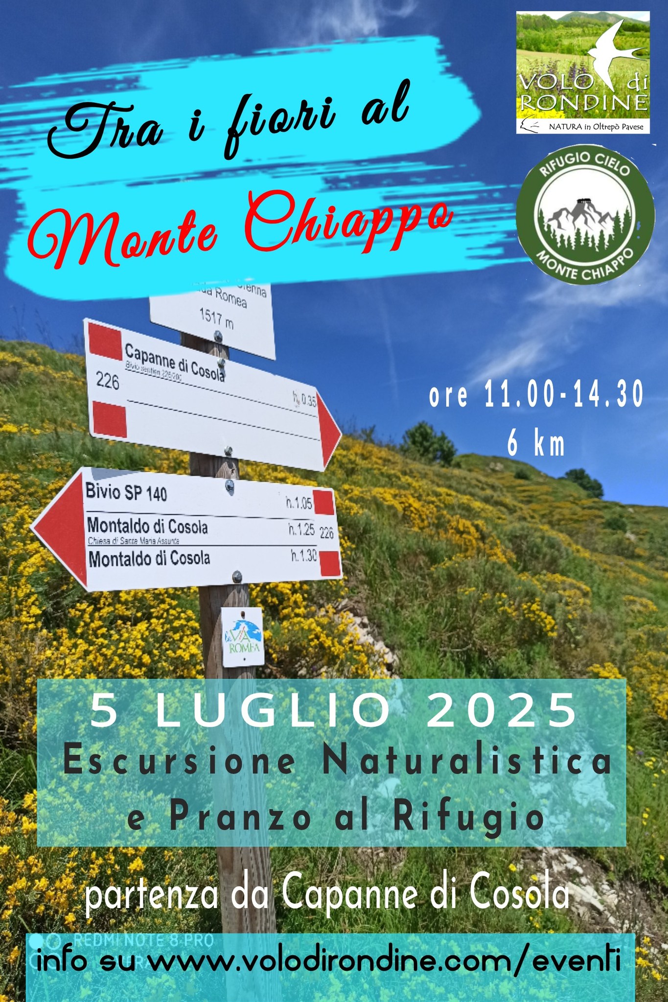 Tra i fiori al Monte Chiappo