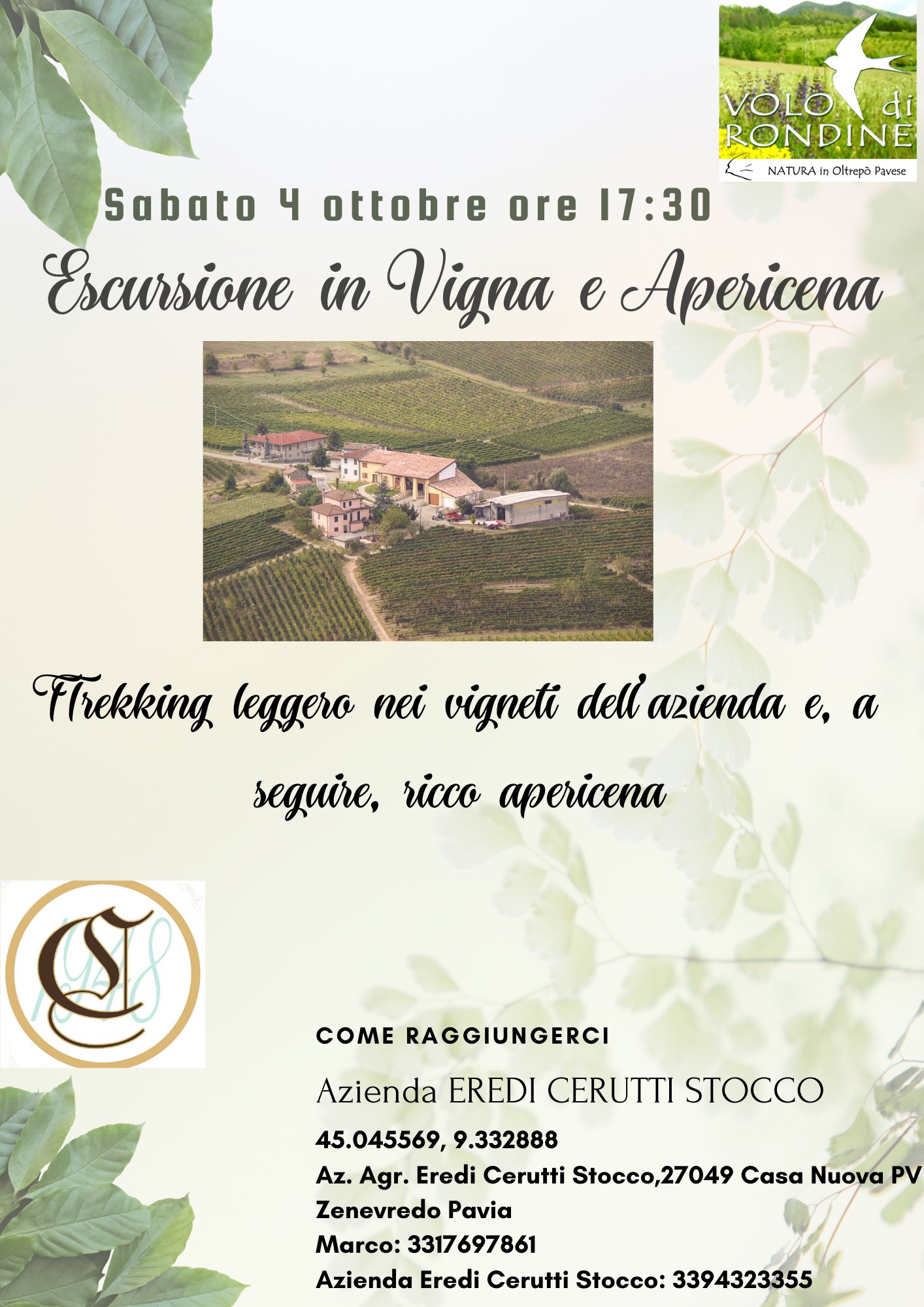 Escursione Serale in Vigna e Apericena in Azienda