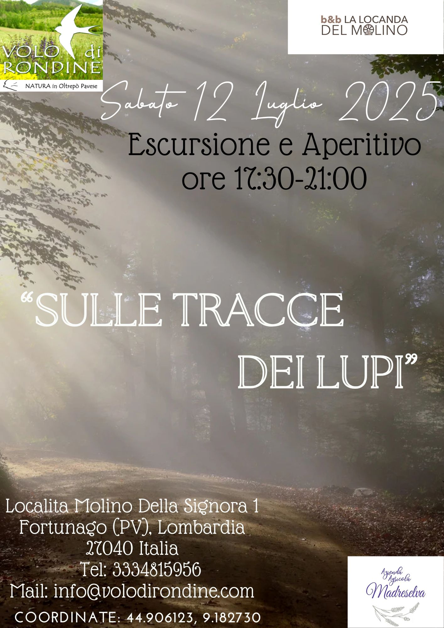 Sulle tracce dei lupi